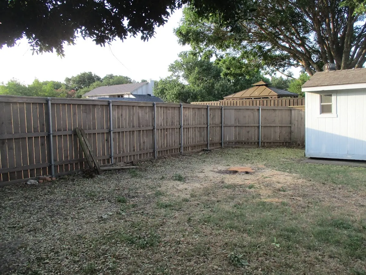 Cleared yard after professional tree removal in West Paducah