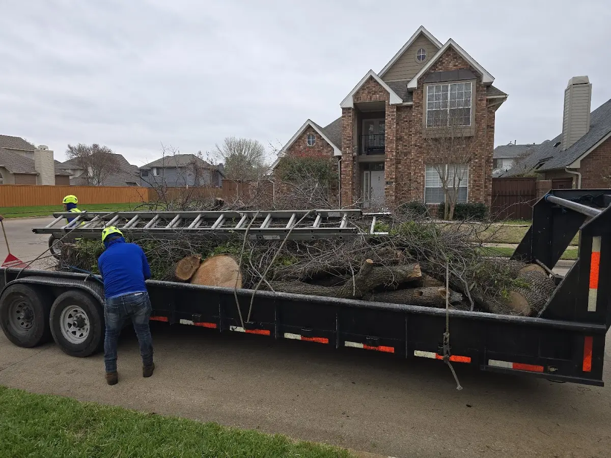 Expert Tree Fertilization with proper safety equipment in West Paducah